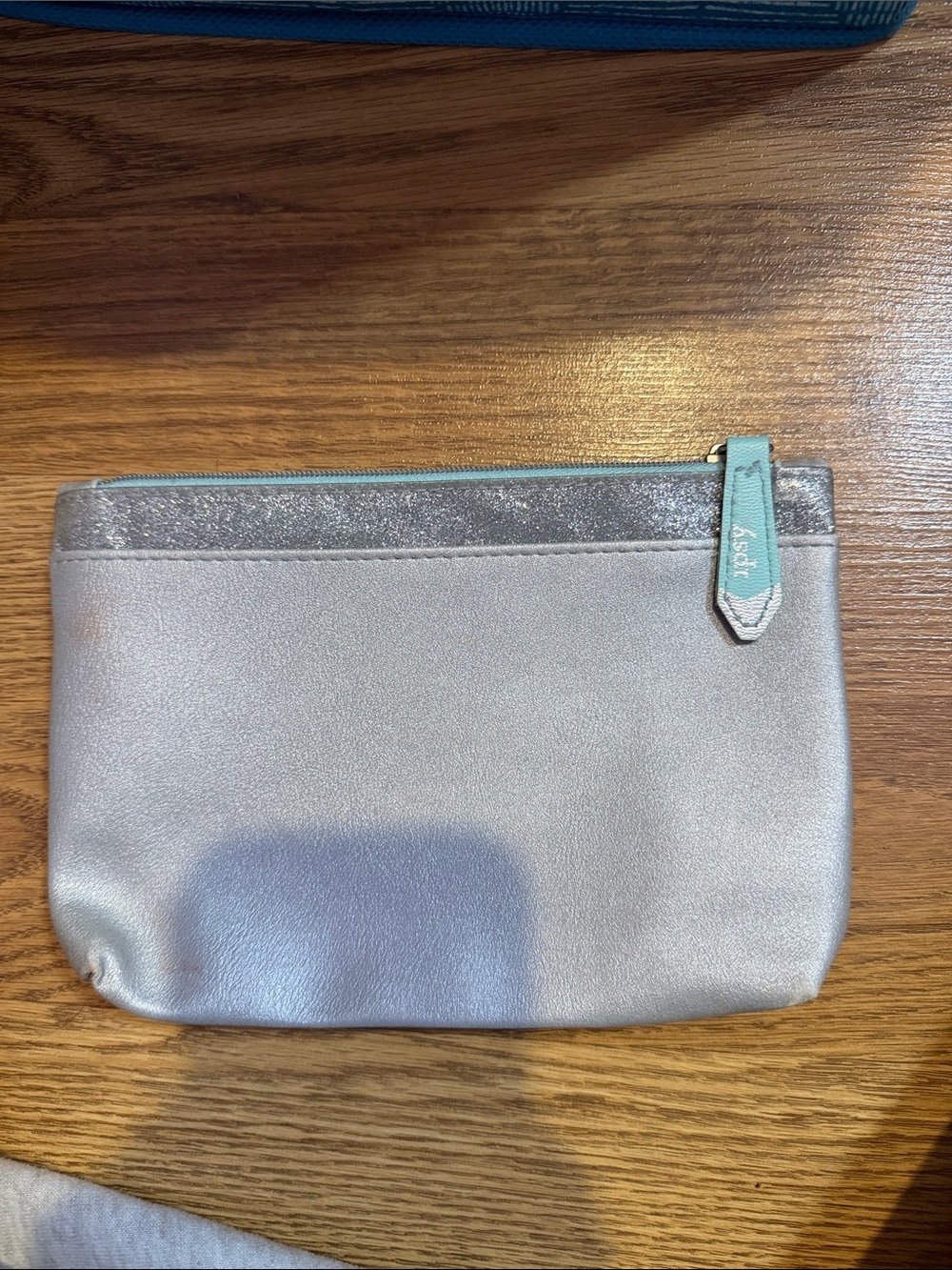 Metallic Silver Cosmetic Pouch with Mint Zipper Pull